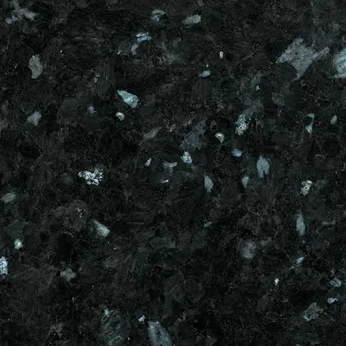 Labrador Oscuro