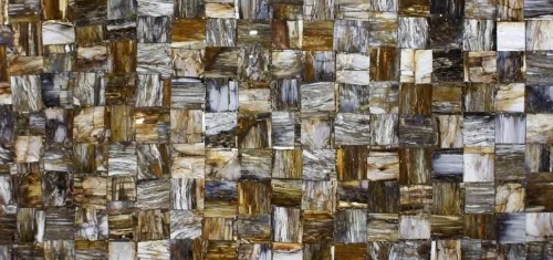 Petrified wood brown jurassic 2